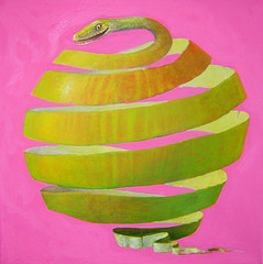 Eve rose,  le diable serpent, format 50 x 50 cm, etude pommes Pierre Marcel