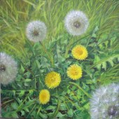 click to see bigger image