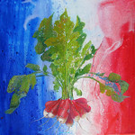 Vereuse ? Le fiasco du bleu 