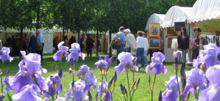 Les journes de l'Iris, chteau d'Auvers sur Oise, 27 et 28 mai 2006