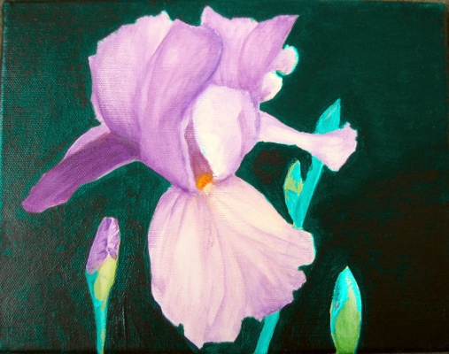 Iris, par Jean Pierre Henry. Etude pour l'exposition Iris au Chateau d'Auvers sur Oise, le 27 et 28 mai 2006