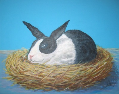 Lapin dans un nid, projet pour parabole