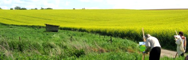 Jean comme toujours tr�s intens�ment engag� dans son projet de peinture