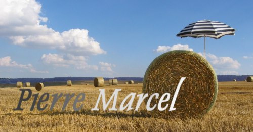  J'ai dcouvert et pratiqu la peinture acrylique aux Etats-Unis,  Miami Beach, ou pendant quinze ans jai men tout d'abord une carrire de peintre dcorateur. Me voici de retour en Normandie, en Pays de Vexin Franais et Normand prs de Gisors, pour travailler  ma peinture. 