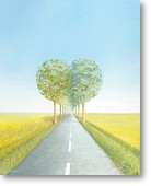 click for more details