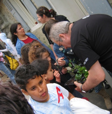 Jean Guy Colura, conseiller municipal, veille  ce que les petites plantes soient bien emballes pour le voyage de retour  Argenteuil